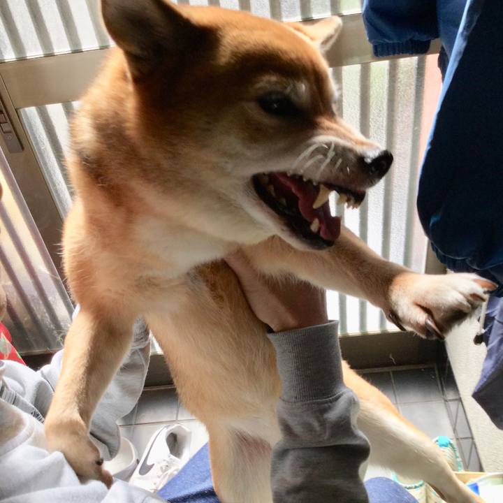 4b230b85 e8e9 42b0 b2c0 741af9854299 1572064136175