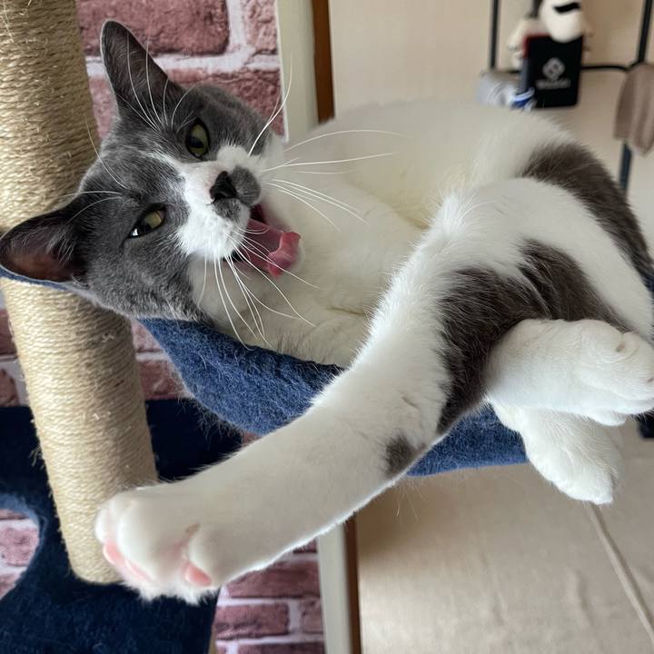 4b23420b a2bd 42ec a695 a09441907665 1658630082089