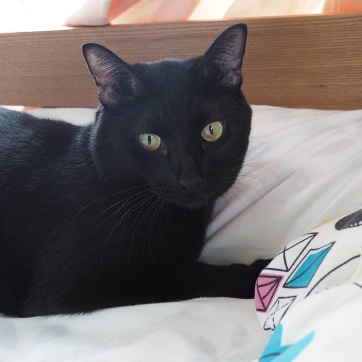 4b235d1a c56b 4b86 a037 4f143e0bb53f 1541252973502