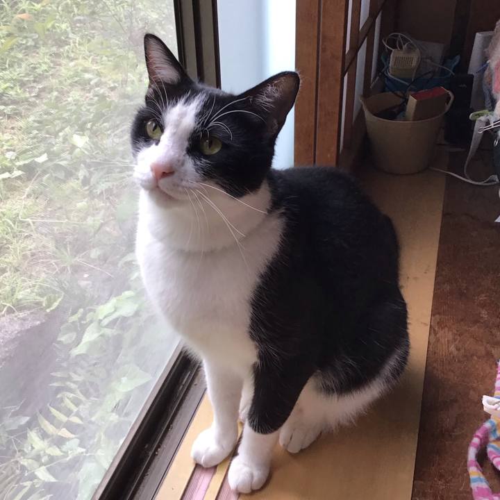 4b2372c4 daf6 499d a795 5652e4822df2 1689335030439