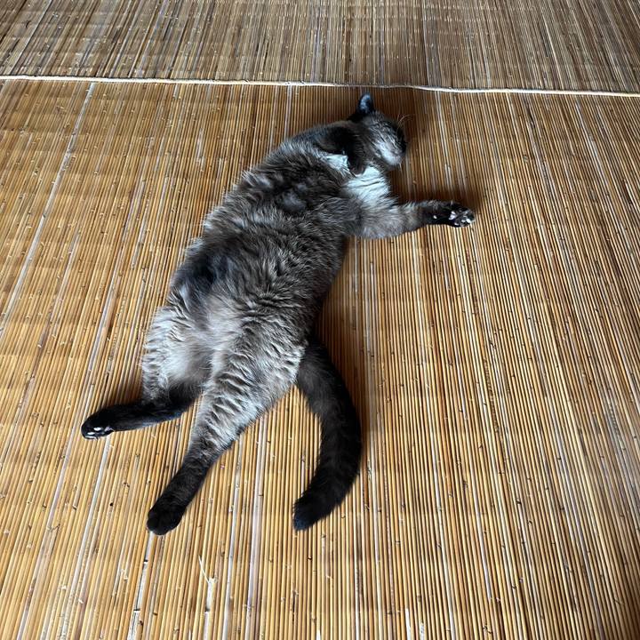 4b23c841 3626 443e 8569 9da31dae88bc 1726536478231