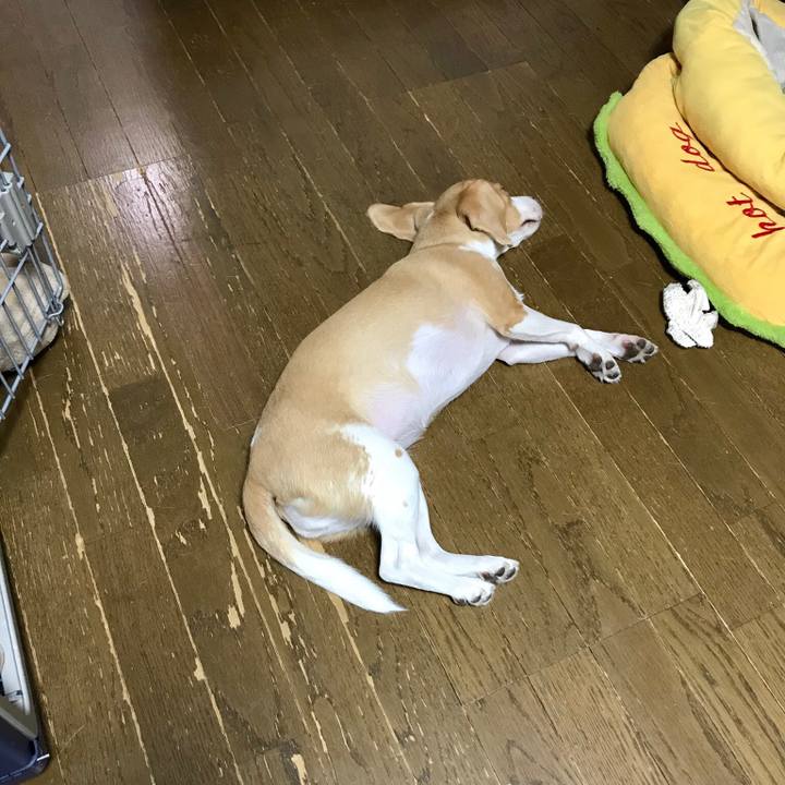 4b23f278 8a82 43e4 bf39 87e9f06d410a 1535525452160