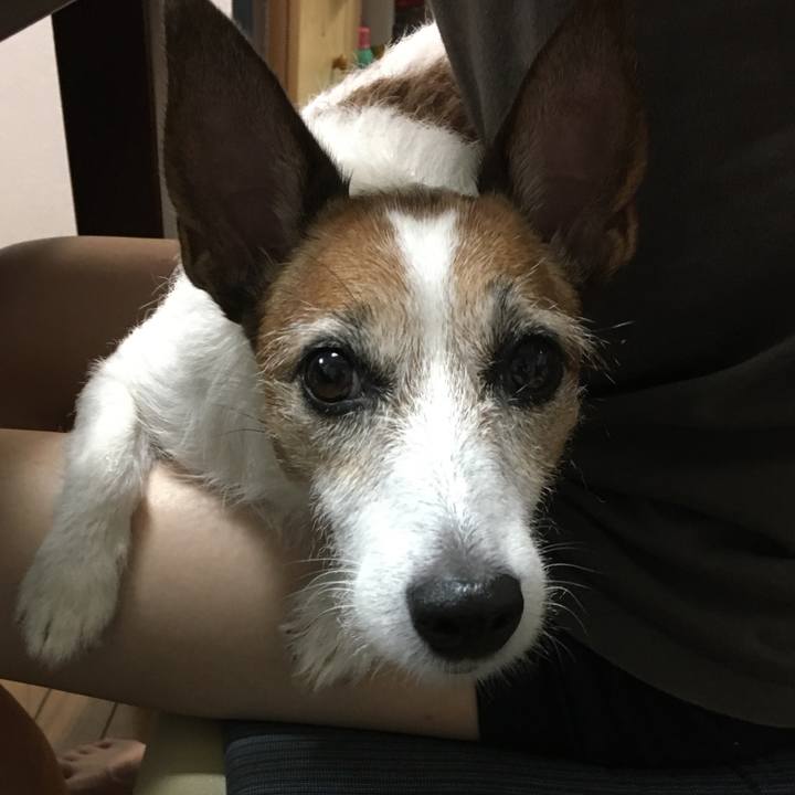 4b240bed f5fc 407f 85ab 52634e9e2023 1602299558130