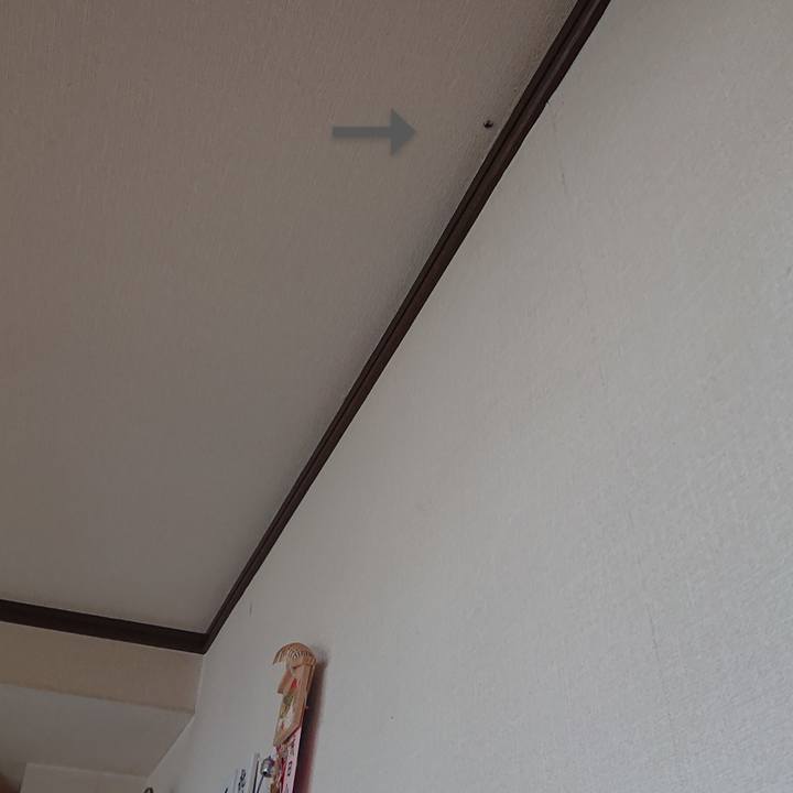 4b2428d1 2a85 4315 9215 9cae9fddbded 1728009959651