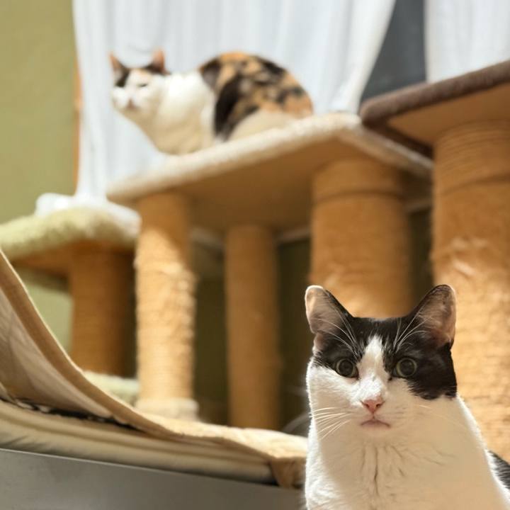 4b242a7a 89b2 468e b210 0f44d4c6e287 1766106897957