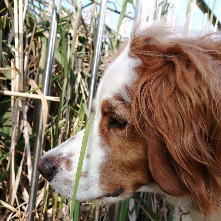 4b244bfd f5f1 4c26 a42e 1cdac419bd4b 1591141083228