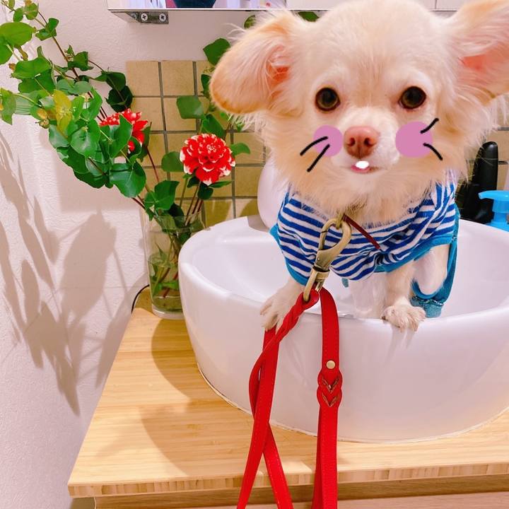 4b246947 d4d7 4c44 b97e 83777a3241e4 1636006787511