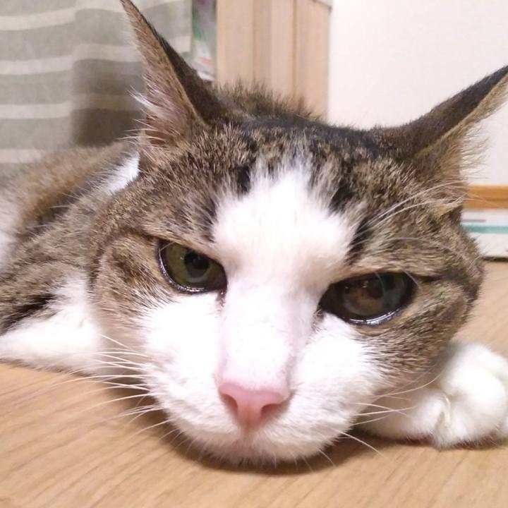 4b2484e7 e5b1 4c2c 9a3b 9f20b9c0c934 1534511556638