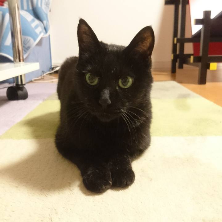 4b24b1e9 ef8c 4f36 aa48 755746e68e79 1529064441003