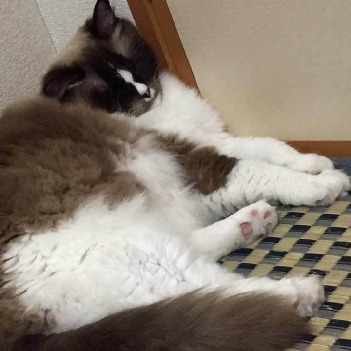 4b24c496 4d2f 4b36 8416 a0d666ea1643 1513116484300