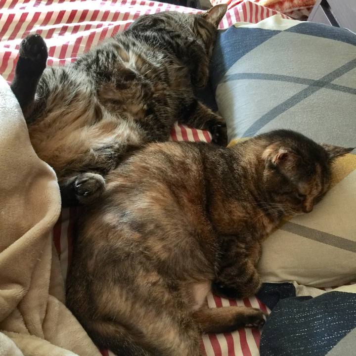 4b24c588 d9b3 4fc3 b450 4bf0c06d275e 1557832918639