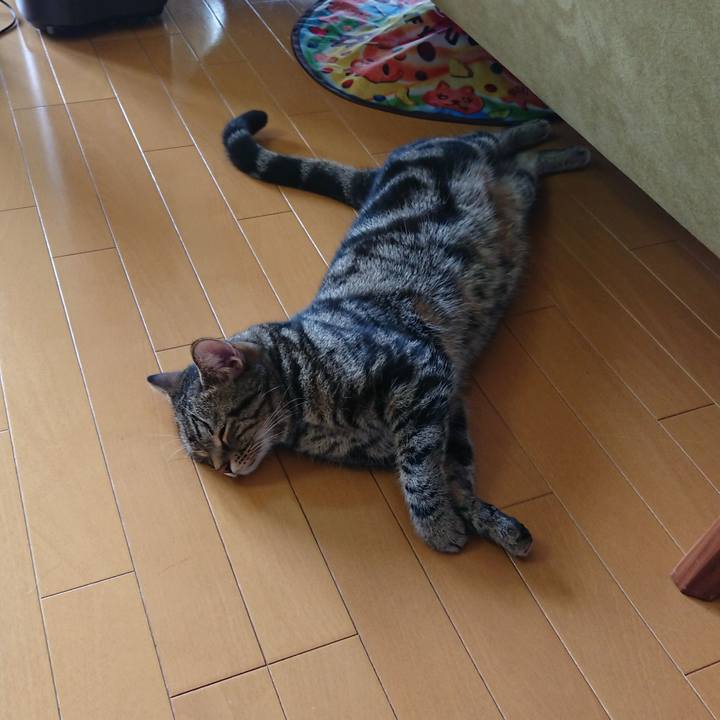 4b24d67f a109 40f4 8d85 4fd6b2e571bf 1537334280070