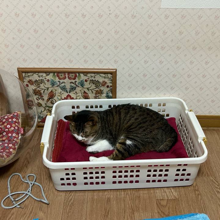 4b250ac6 0ee2 4e30 b5b4 f801b451ce56 1679577143401