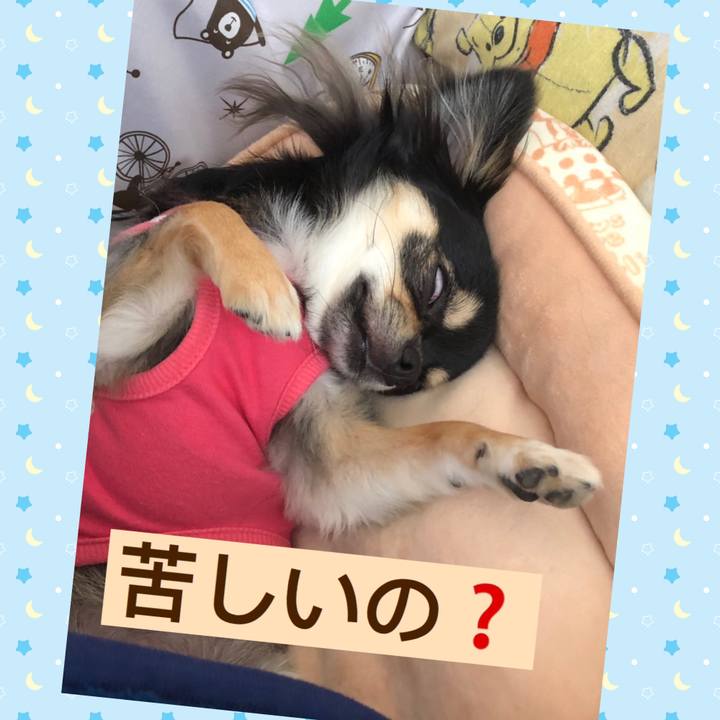 4b259da2 1152 4548 bc46 070e545820fd 1567856767350