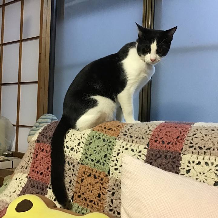 4b25b36c 242b 4d36 9263 cf77ab5dc907 1638311182332