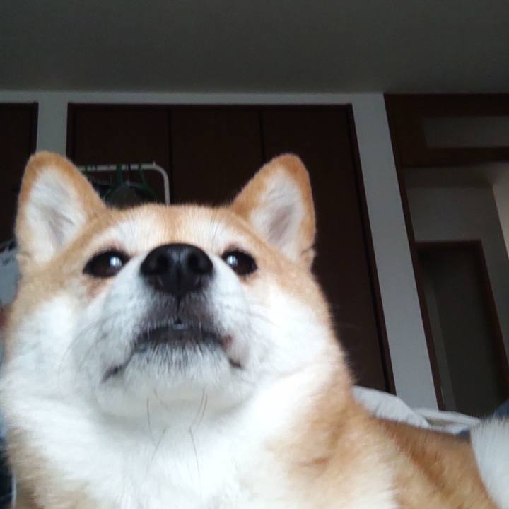 4b25bc32 2841 49d2 8cf3 b28624158fd9 1747549567417