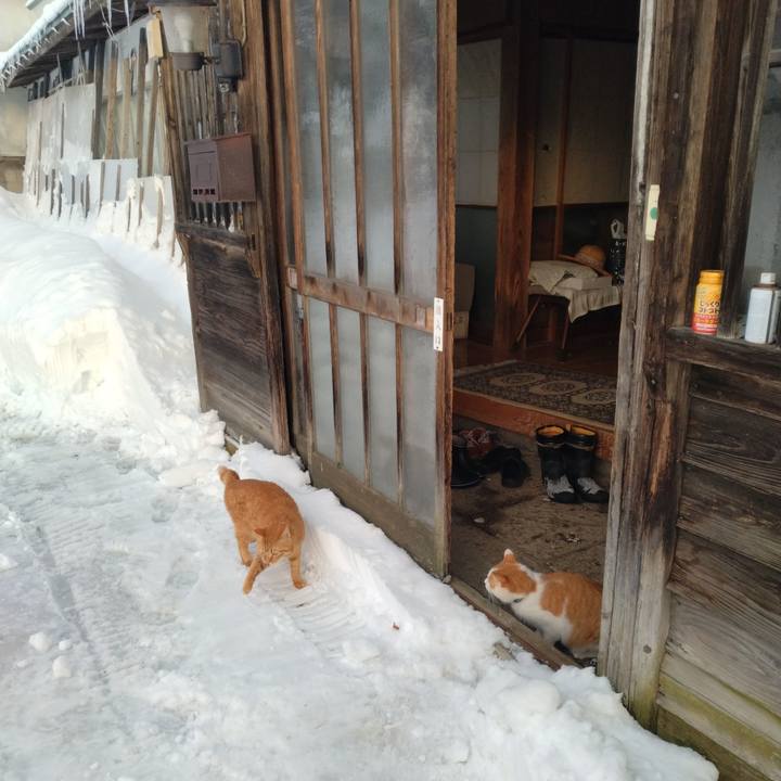 4b25e403 dad6 4a3e 8692 6b9cfffb30aa 1768286629787