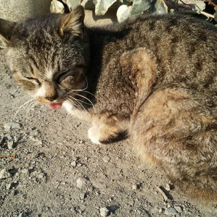 4b26120f 59be 4141 9c2f 69ad39084938 1519206014955