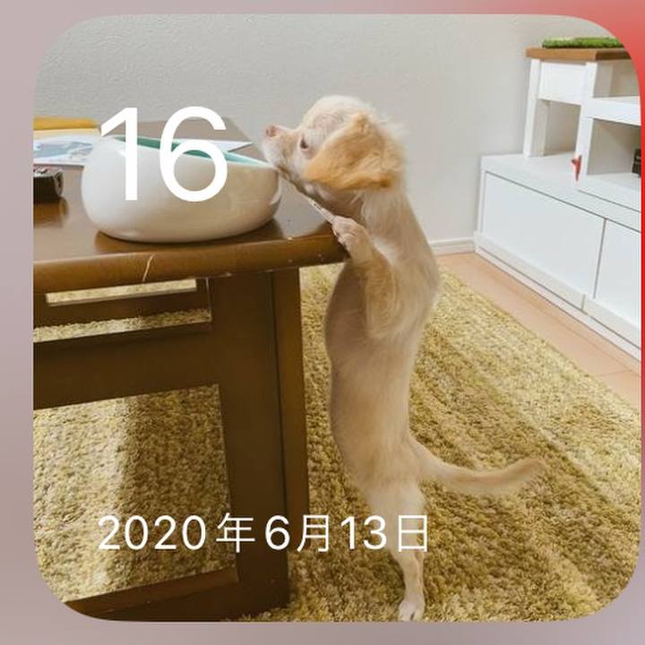 4b262292 c186 4759 a27f dfbfcfbd3687 1718503778331