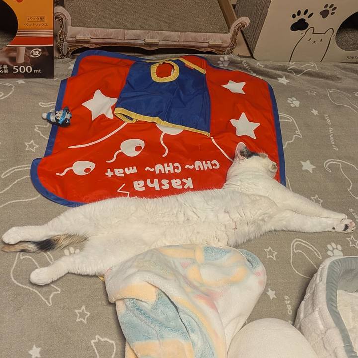 4b262b3e 5ca9 41f5 b20e 9191bb3d26e0 1774022429447