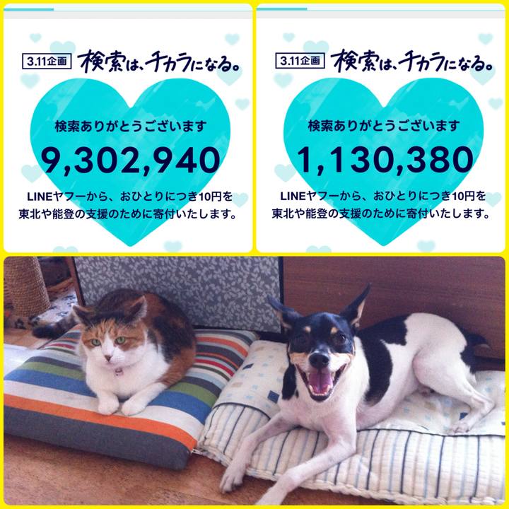 4b264ee2 36f3 485d b2ff 23bd12379b6f 1741689879051