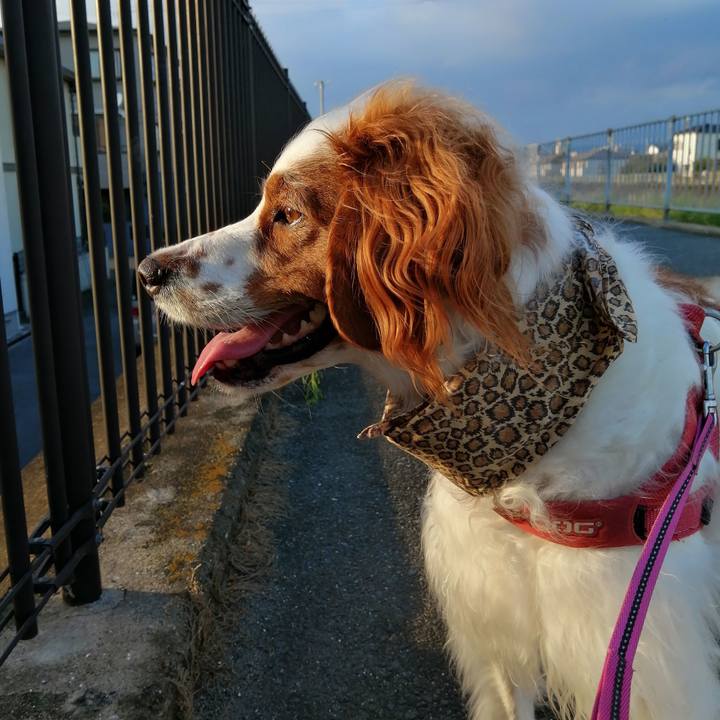 4b268d5c 59a1 4606 9ce7 1b34b5c700ad 1597318959620