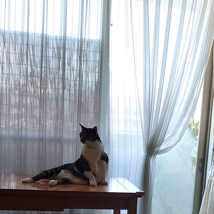 4b268edd 815b 4d25 a2eb d15d45b48299 1726830381160