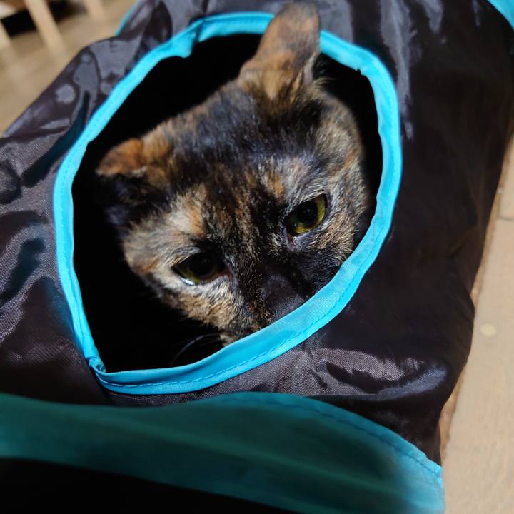 4b269372 5b3d 4d6a 906f 26e30b6c0996 1663675352851