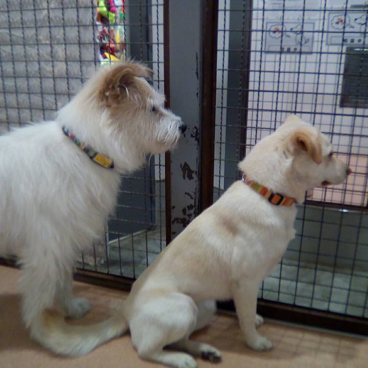 4b26abeb 5d6c 40fc b6d8 377df096ebaa 1523671935261