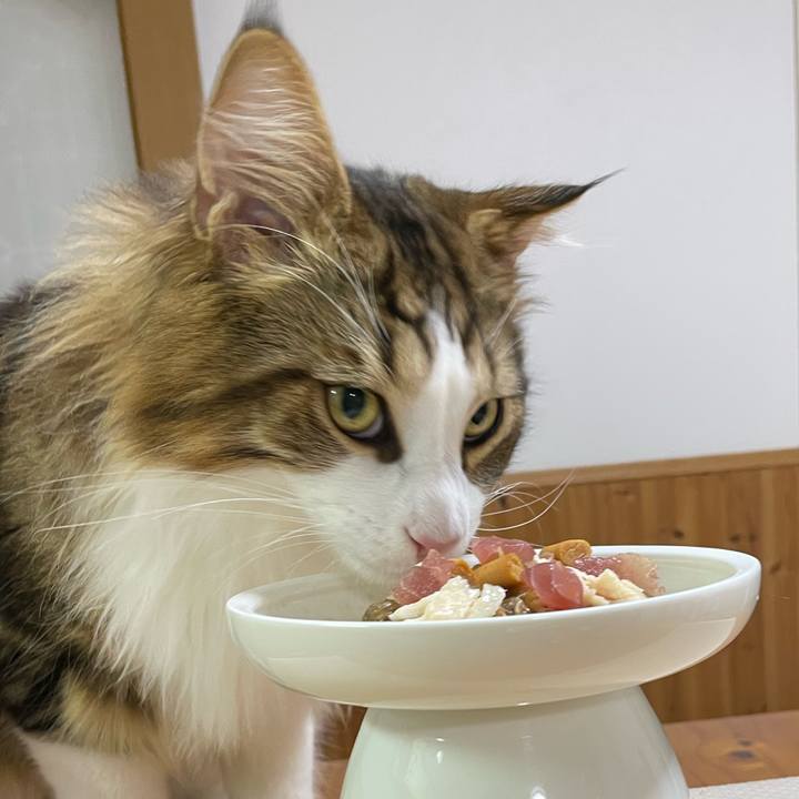 4b26ebc6 eb18 4653 81ac cd240386f0e4 1656411490589