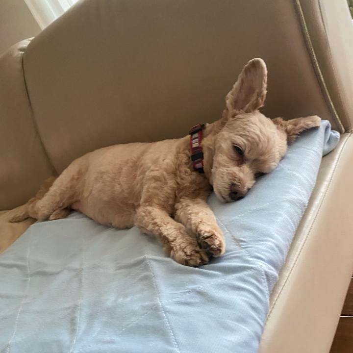 4b26ecb8 dceb 4edc 9284 c8c08e88a3d9 1600323249999