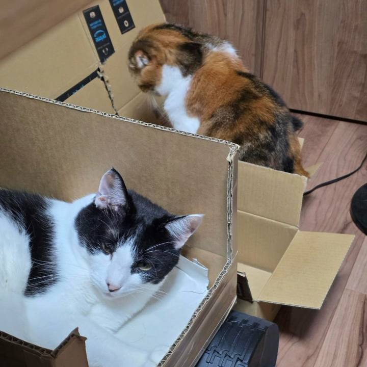 4b26f593 7322 4398 9249 aeb76438522b 1757888144319