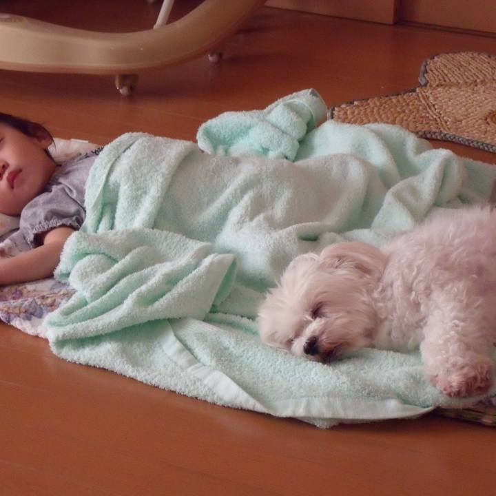 4b274972 8b80 4ec2 b615 d9c68bd81818 1656635871554