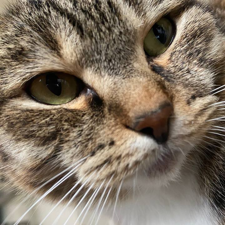 4b27582b 6eef 4e49 a2a0 f2aa1b141080 1587355400913