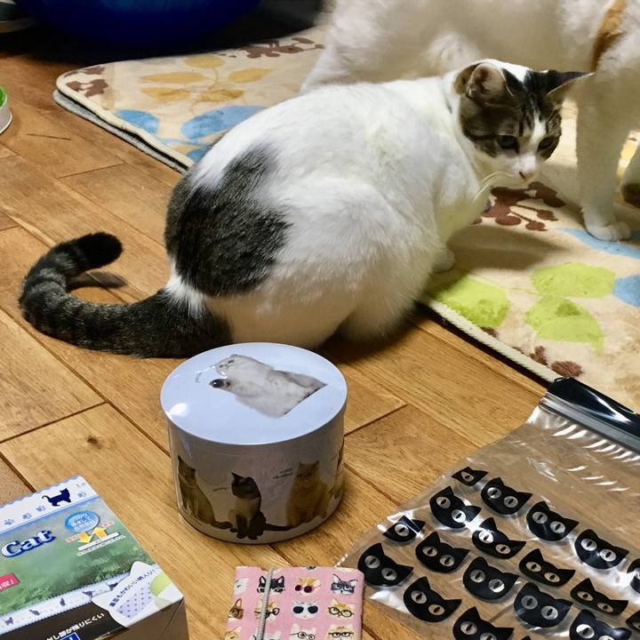 4b2783f0 fd30 4b8c aa38 ea1c46a1be1b 1511877781330