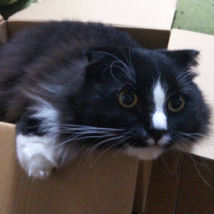 4b27a169 0416 4624 a7b8 f9f8b82682f0 1654957893593