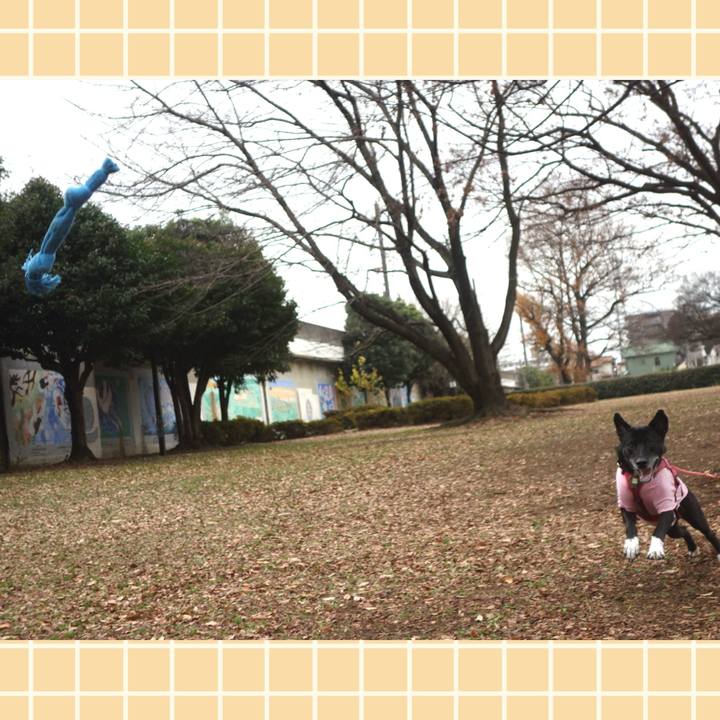 4b27bd82 b116 4ded 9cfd 4ca11fff6aaf 1702949989162