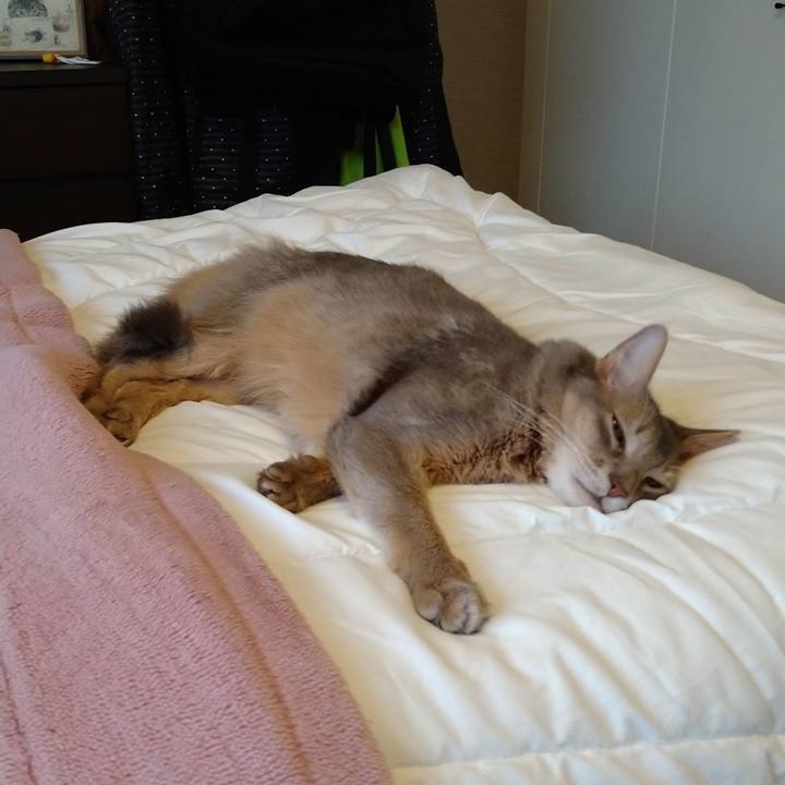 4b27c403 621a 460f 93c1 b62c2b76fb5a 1610105572612