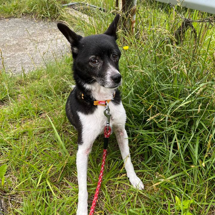 4b27cba3 bdcd 46f6 b91b d1a8f5aea256 1686651488029