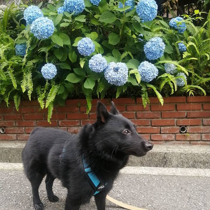 4b27cfa0 ee5b 46ea 9cf8 4c21043c8aeb 1655503251437