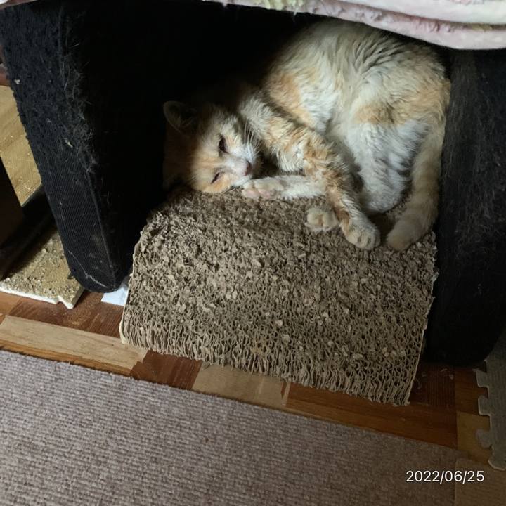 4b27f327 d83c 4b3b 88e3 fb3f2ab82c8c 1656130013557