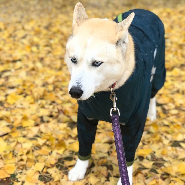 4b27f8e8 de26 4def a7c6 9eacbcce966c 1638928922921