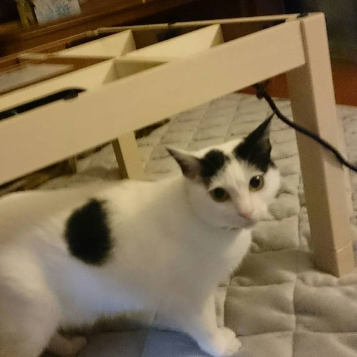 4b27fd55 a5cb 4f87 86f6 2a73232d4350 1508057515219