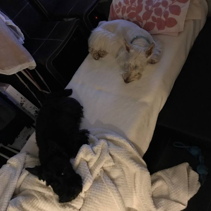 4b280eed 0cd5 4525 bcb5 18d05c01c3f8 1526053397971