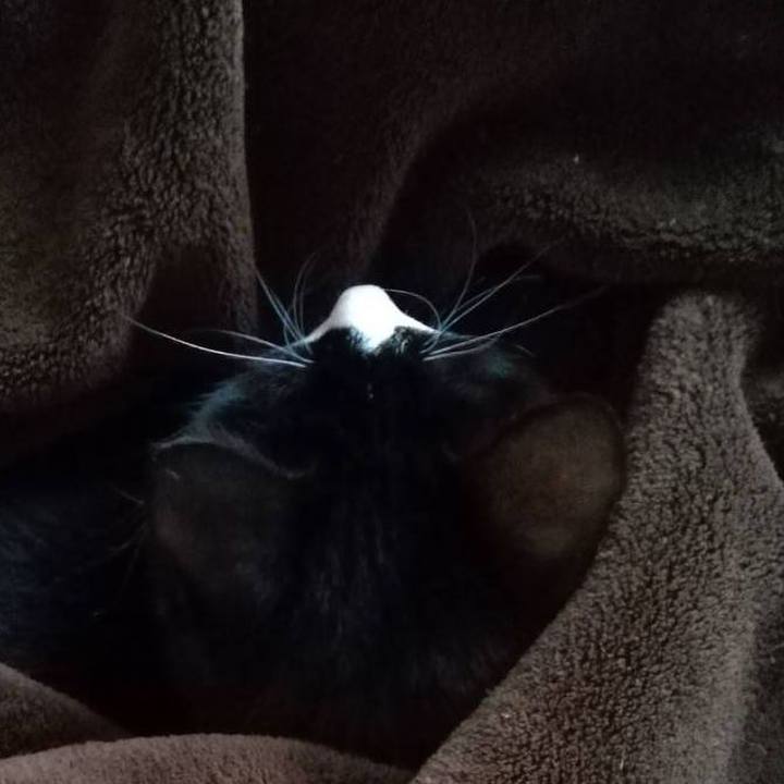 4b2819ed 2a33 4aae a598 fedcee4e70fd 1578817710618