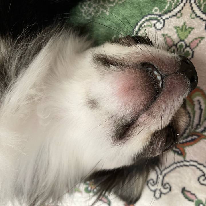 4b284dc2 2160 469c a5e1 c341b00a74f3 1664029855576