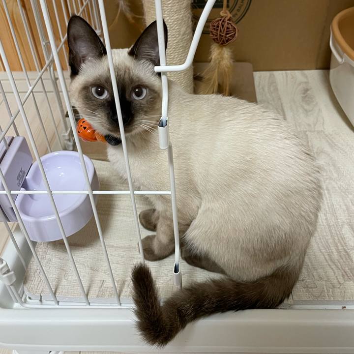 4b287681 c21f 4c80 95f5 ca5630cc0119 1697743872670