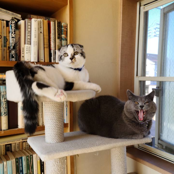 4b28b4f3 c402 4baa 8d74 d0d1ae04c63d 1636360385191