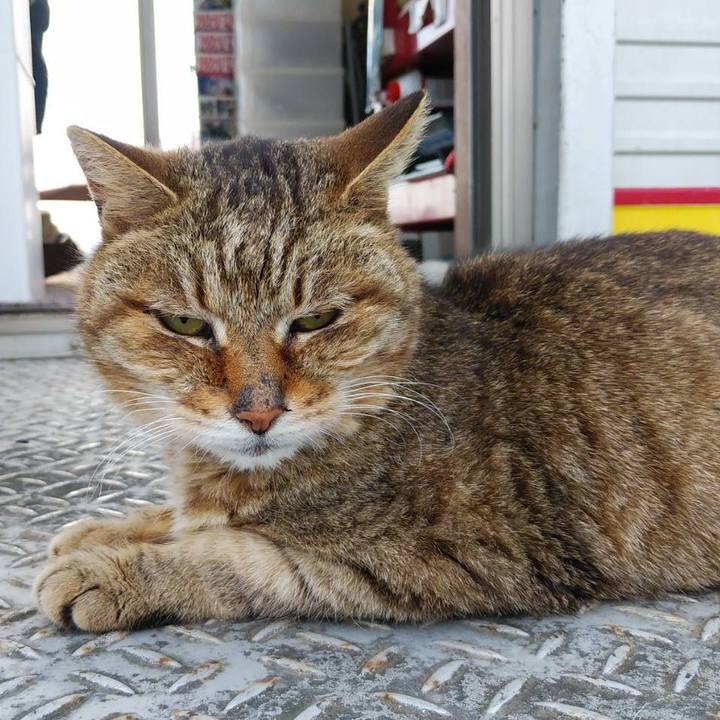 4b28de18 583c 46de bd01 8f3259ea5fb1 1621820445312