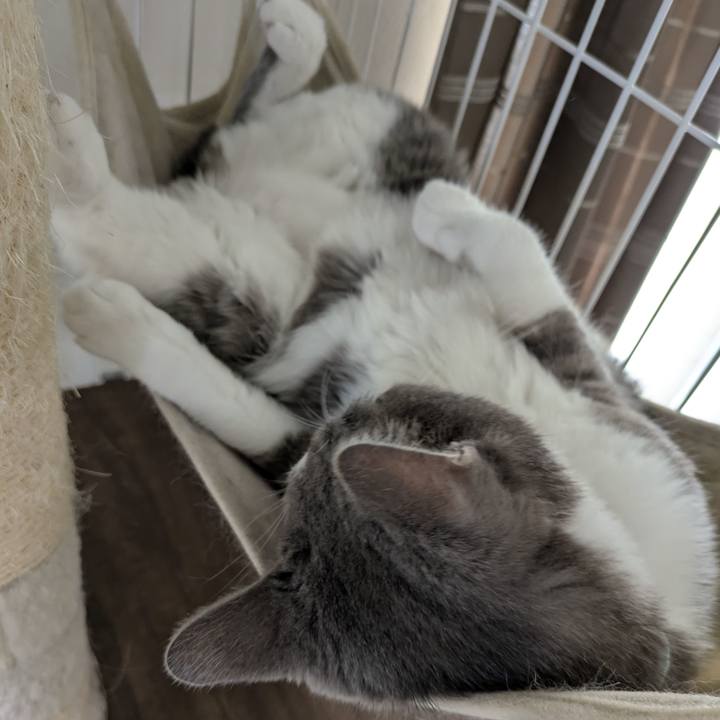 4b291244 7dda 4d5b b0ca 7bab55463da5 1756869353788